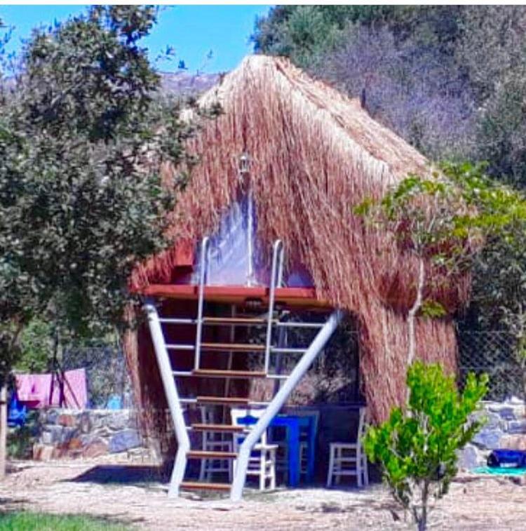 Bodrum Masali Camping Gumusluk Luaran gambar